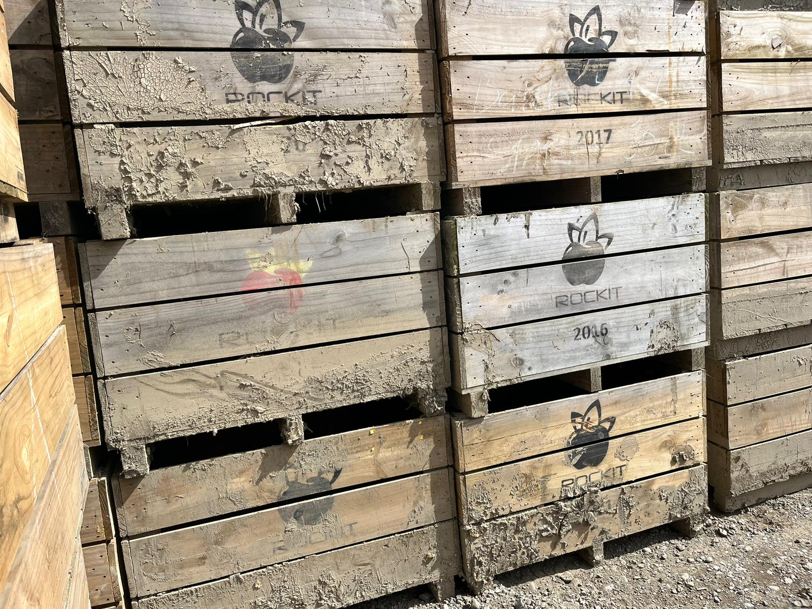 Apple bin covered in silt